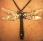 Dragon Fly Jewelry